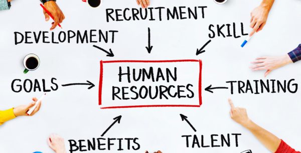 Empleabilidad en la ingeniería industrial: tendencias y desafíos