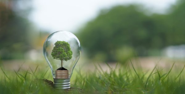 Sostenibilidad energética; activando el potencial de los CAEs