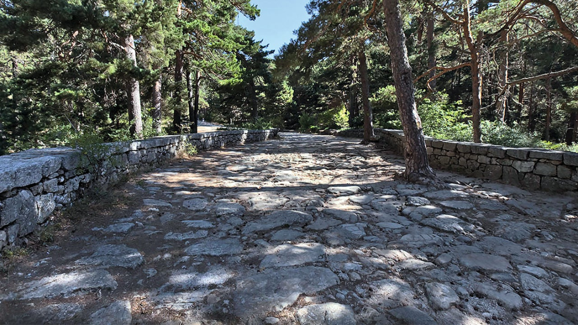 Apúntate a hacer senderismo por la sierra norte de Madrid
