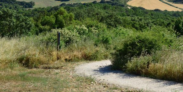 Ruta guiada: Camino de Santiago: 1ª etapa