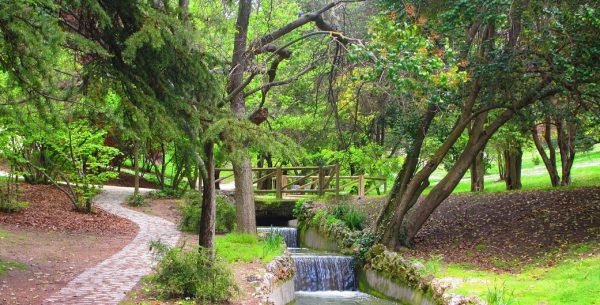 Ruta Madrid: Parque del Oeste