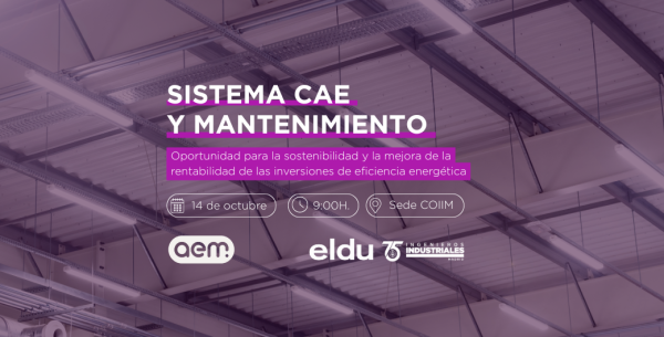 Sistema CAE y matenimiento